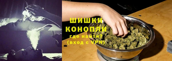 PSILOCYBIN Абаза