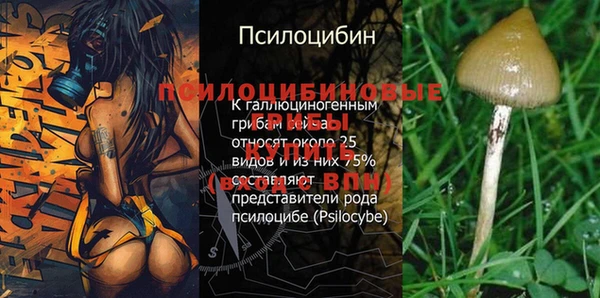 молекула духа Абдулино