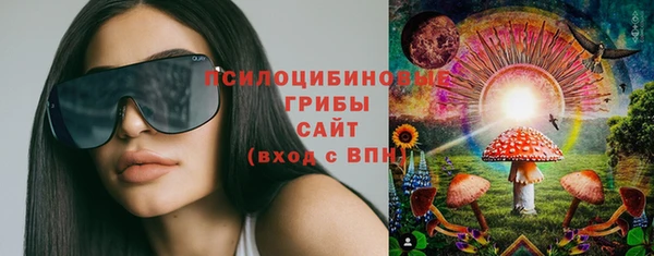 PSILOCYBIN Абаза