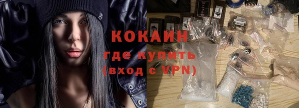 шишки Абинск